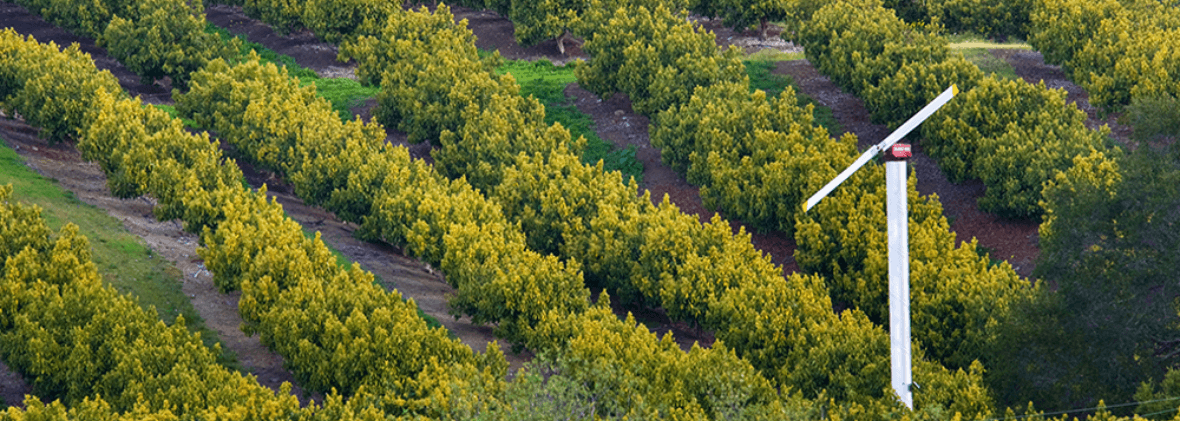 Tips and Considerations for Renting Orchard and Vineyard Equipment